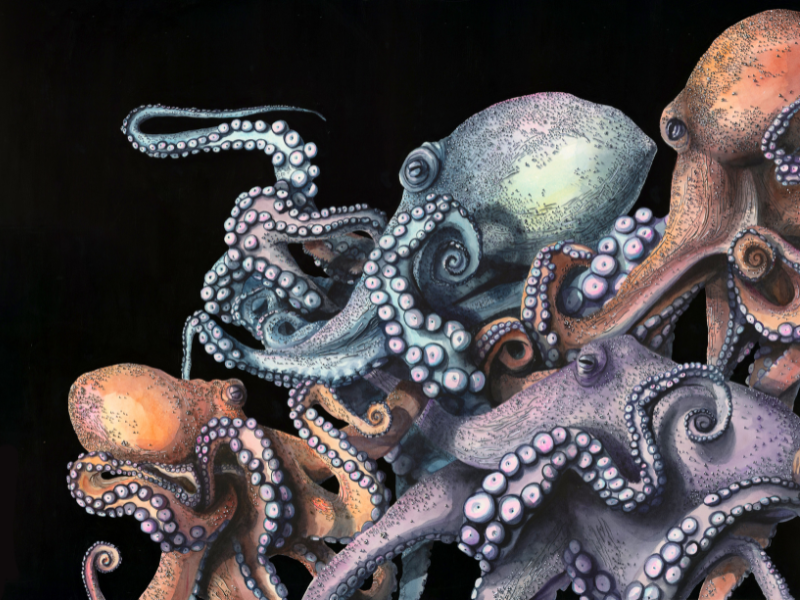 Z25MEMFlora, Fauna, and Folklore, Closing Event and Artist's Talk - T…